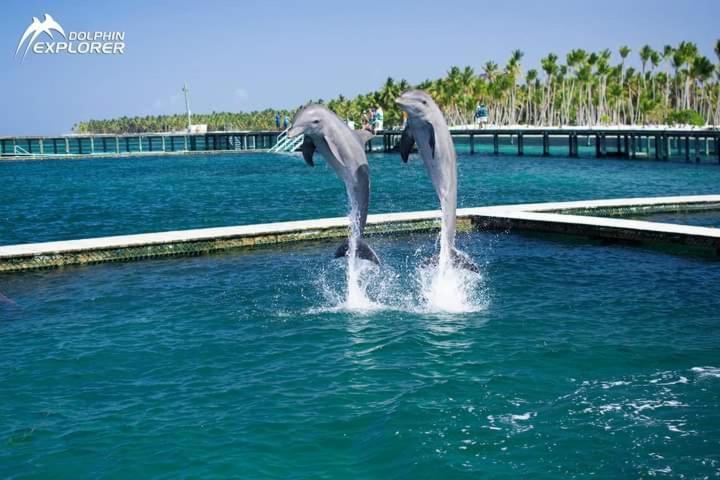 Punta Cana Sol Caribe Beach Pool Экстерьер фото